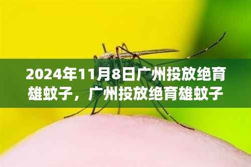 广州投放绝育雄蚊子的革新实践,生态与健康展望(2024年)