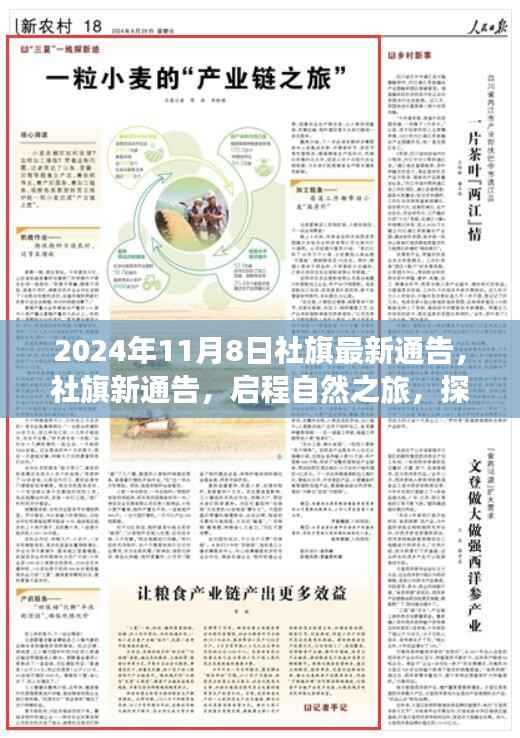社旗启程自然之旅,探寻内心宁静的秘密(最新通告)