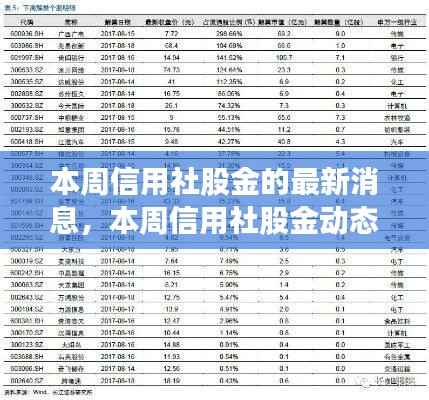 本周信用社股金动态解析与观点阐述,最新消息深度探讨