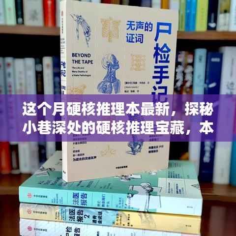探秘小巷深处的独特推理宝藏,本月硬核推理本体验新篇章