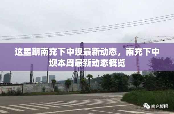 南充下中坝本周最新动态概览,本周发展动态速递