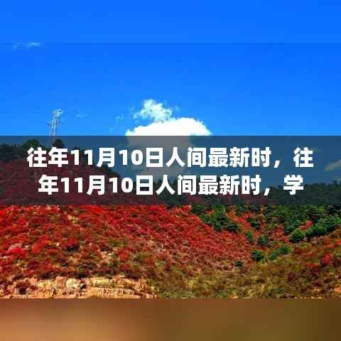 往年11月10日人间新风尚,学习变化,自信成就梦想之路