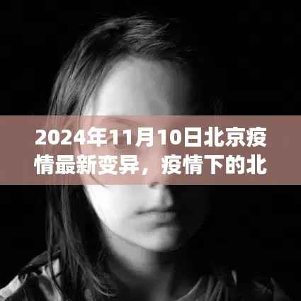 北京疫情最新变异下的温情与友情日常,2024年11月10日最新观察