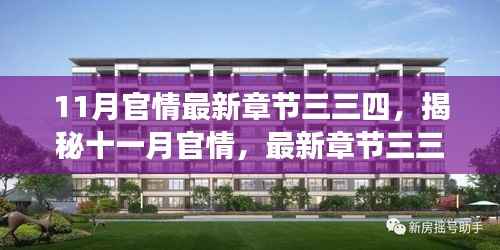 揭秘十一月官情最新章节三三四,深度解读与要点详解
