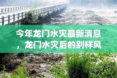 龙门水灾最新动态,灾后风景独特,心灵洗涤的自然探索之旅