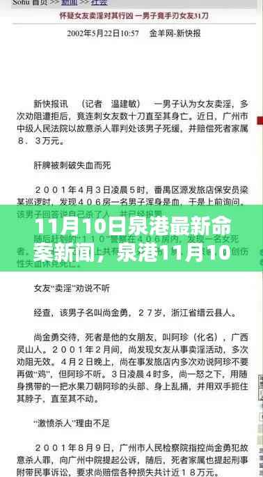 泉港11月10日命案回顾,悲剧警示与反思