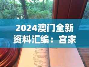 2024澳门全新资料汇编：宫家婆时代详解，圣尊IPV699.26详述