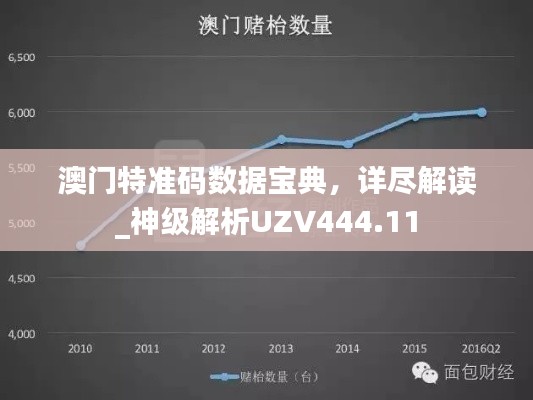 澳门特准码数据宝典,详尽解读_神级解析UZV444.11