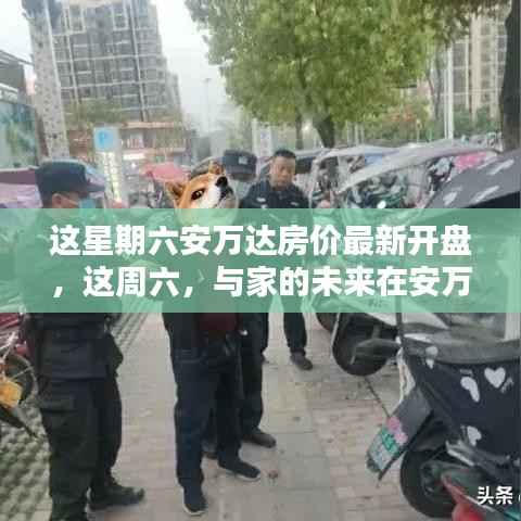 安万达最新房价开盘，周六遇见家的未来