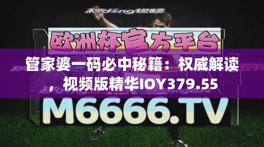 管家婆一码必中秘籍:权威解读,视频版精华IOY379.55