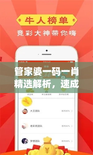 管家婆一码一肖精选解析,速成攻略JON847.89