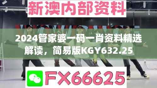 2024管家婆一码一肖资料精选解读，简易版KGY632.25