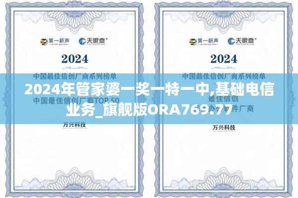 2024年管家婆一奖一特一中,基础电信业务_旗舰版ORA769.77