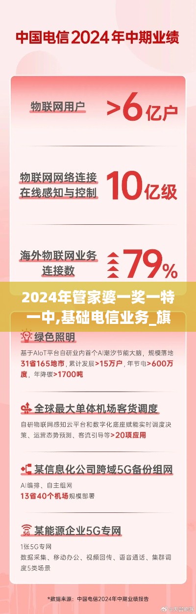 2024年管家婆一奖一特一中,基础电信业务_旗舰版ORA769.77