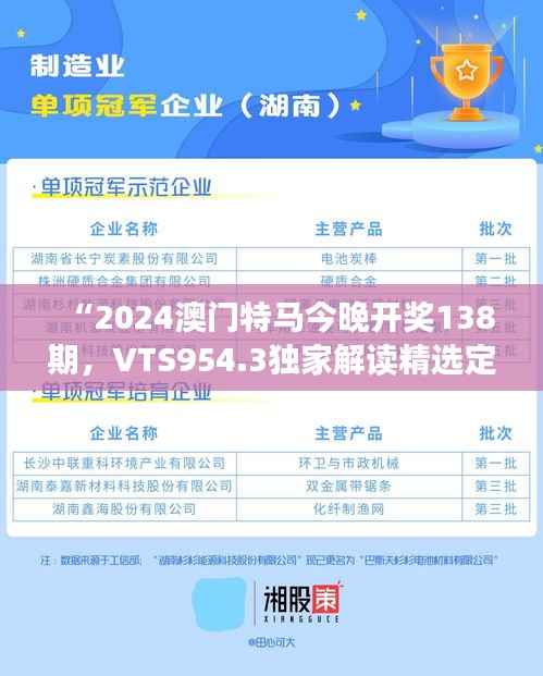 “2024澳门特马今晚开奖138期，VTS954.3独家解读精选定义”