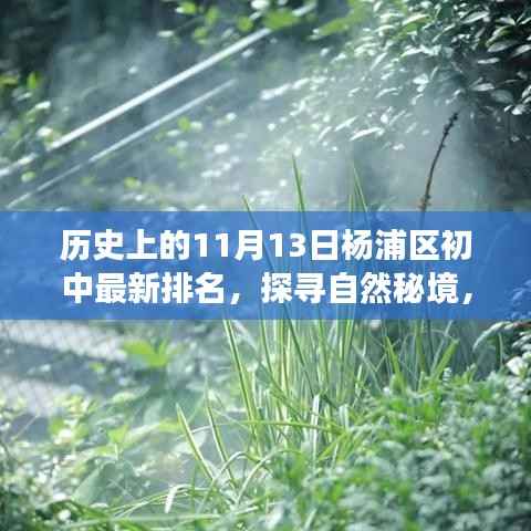 探寻自然秘境与心灵之旅，杨浦区初中排名背后的故事及最新排名（11月13日）