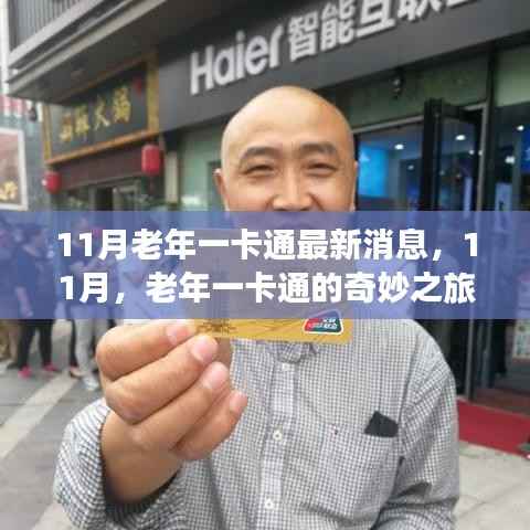 11月老年一卡通最新动态,奇妙之旅开启