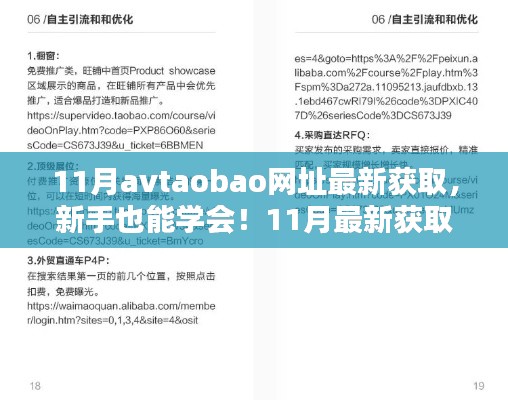 揭秘Avtaobao网址获取方法,新手到进阶用户的一站式指南(警惕法律风险)