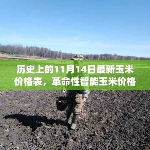 历史上的11月14日玉米价格概览,智能跟踪器重塑农业市场体验