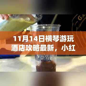 11月横琴游玩酒店最新攻略,小红书独家指南,畅游无忧住宿体验
