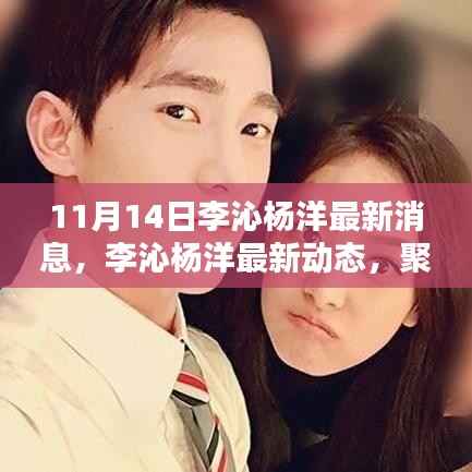 李沁杨洋最新动态深度解析,聚焦要点揭秘最新消息