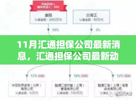 汇通担保公司最新动态解析及观点探析,11月最新消息速递