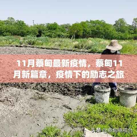 蔡甸11月疫情新篇章,励志之旅展现自信与成就之光