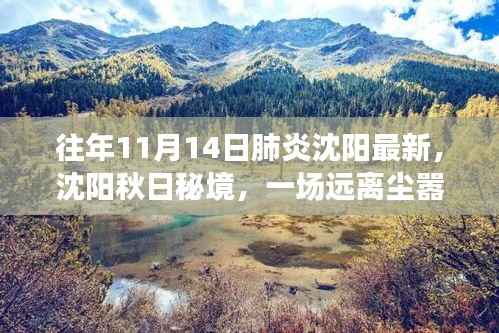 沈阳秋日秘境，肺炎时期的自然探索之旅