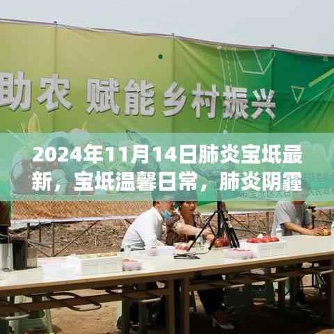 肺炎阴霾下的奇妙友情之旅,宝坻温馨日常最新报道(2024年11月14日)