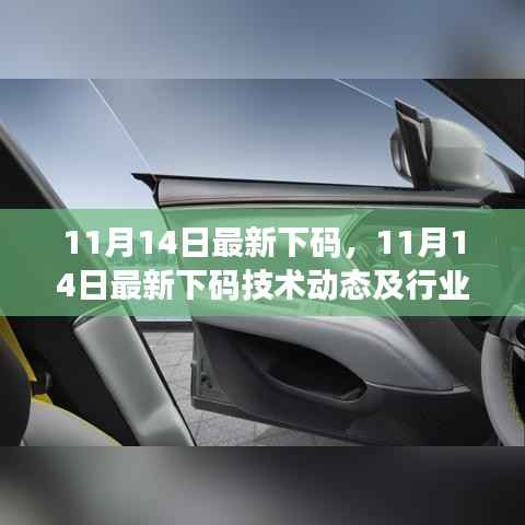 11月14日最新下码技术动态及行业应用分析,犯罪行为的探讨