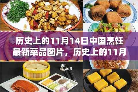 11月14日中国烹饪新菜品图片展示，历史菜品深度评测与介绍