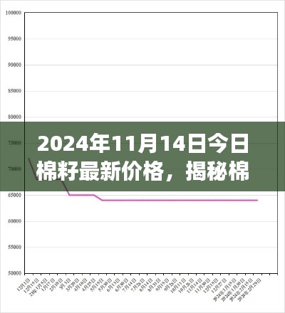 揭秘棉籽市场走势,最新价格动态分析与预测(2024年11月14日)