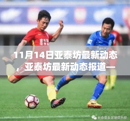 滔滔不绝 第22页