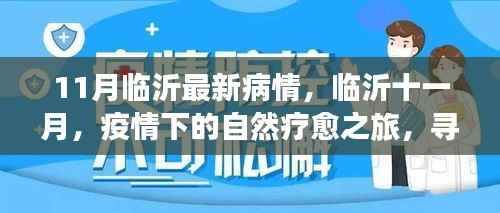 临沂十一月疫情下的自然疗愈之旅,寻找内心的宁静港湾
