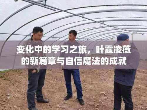 变化中的学习之旅,叶霆凌薇的新篇章与自信魔法的成就