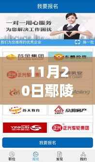 11月20日鄢陵鼓楼最新招聘信息及平台深度评测,特性、体验与用户洞察