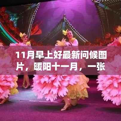 暖阳十一月,问候图片传递温馨日常故事