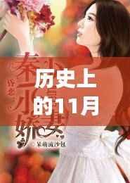 历史上的11月28日,我的娇妻及其深度解读与影响