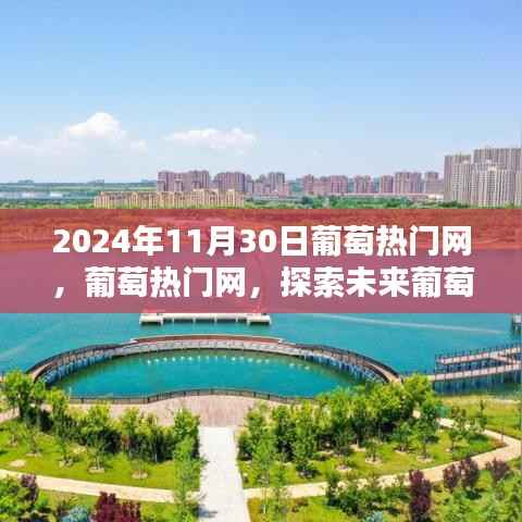 葡萄热门网,探索未来葡萄产业的无尽潜力与机遇