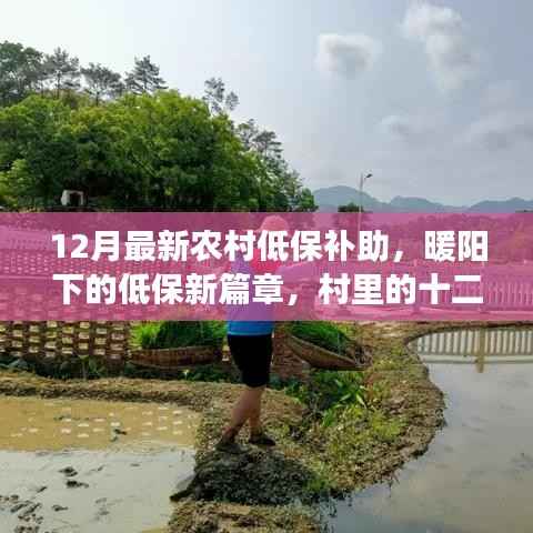 联系我们 第172页