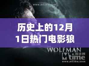 狼伴,一部温馨电影背后的暖心故事与历史的回响