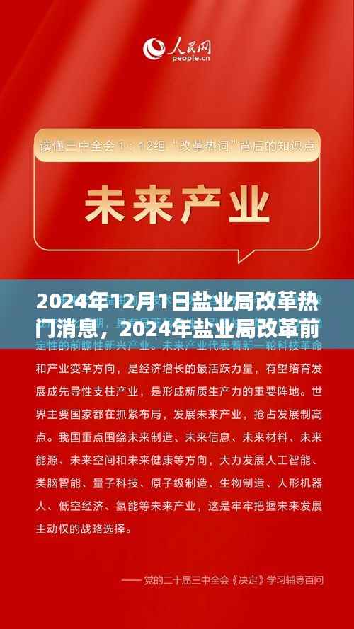 盐业局改革前沿动态，创新策略与未来展望（2024年盐业局改革热门消息）