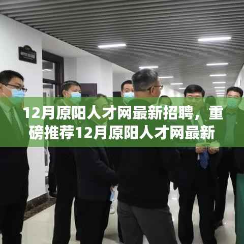 12月原阳人才网最新招聘热潮,优质职位等你来挑战!