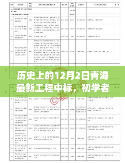 历史上的12月2日青海最新工程中标,初学者与进阶用户的全程指南