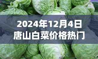 唐山白菜情缘,冬日蔬菜市场的温情故事与白菜价格行情解析