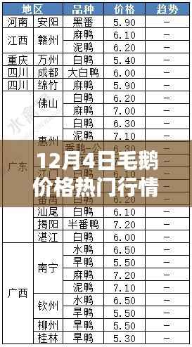 12月4日毛鹅价格行情深度解析