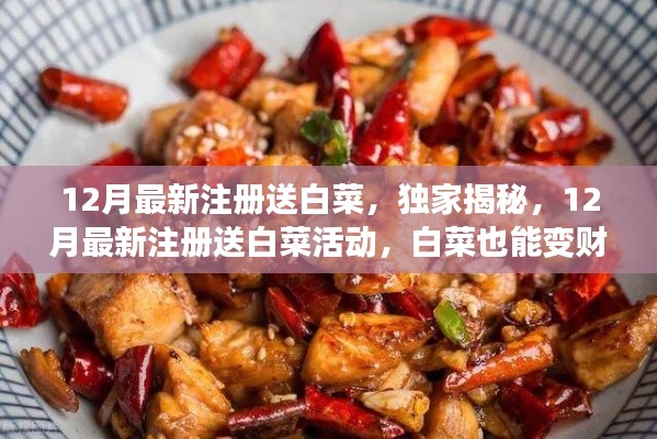 独家揭秘,12月最新注册送白菜活动,白菜也能变财富狂欢!