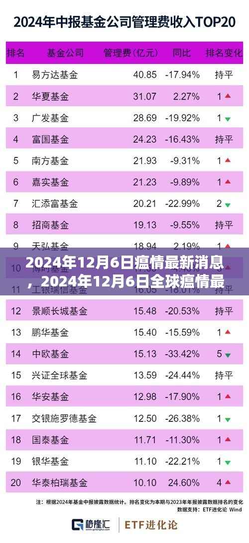 全球瘟情最新动态,影响分析与最新消息(2024年12月6日)
