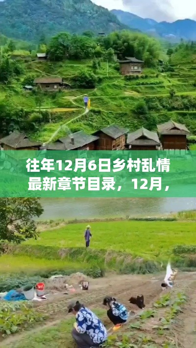 走进乡村美景，寻找内心的宁静与平和——最新乡村乱情章节目录