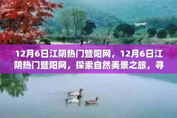 探索自然美景之旅,江阴暨阳网带你寻找内心的平和宁静(日期标注版),希望符合您的要求,您还可以酌情调整修改标题。